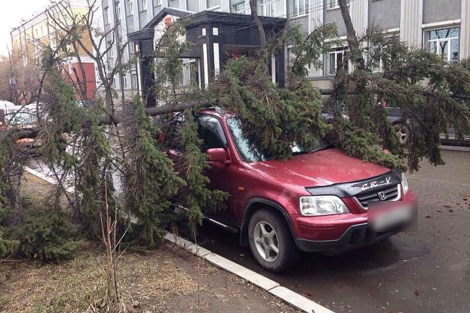 МЧС объявило штормовое предупреждение в Свердловской области