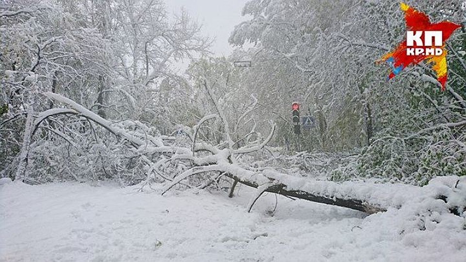Город исчез под снегом.