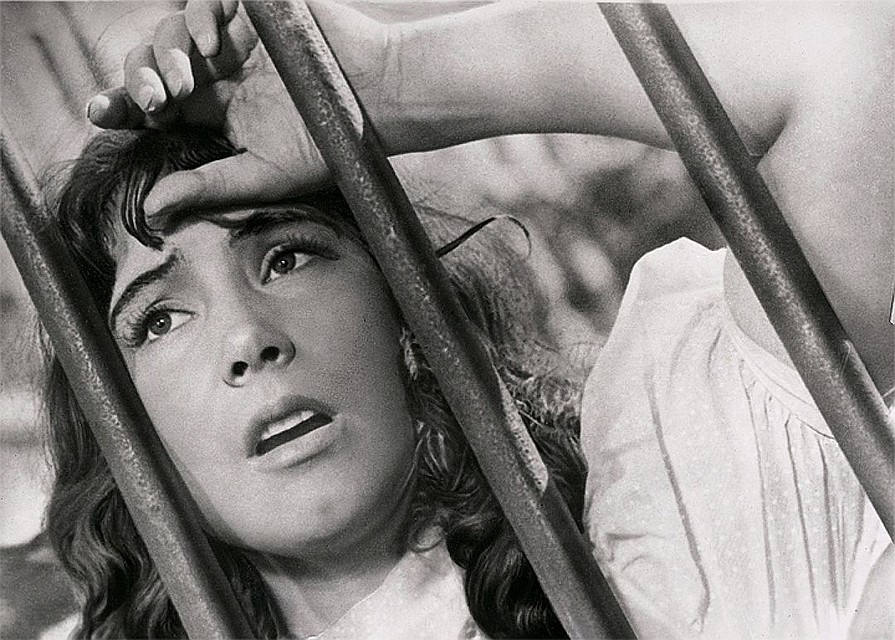 Татьяна Самойлова в фильме "Летят журавли" 1957 года