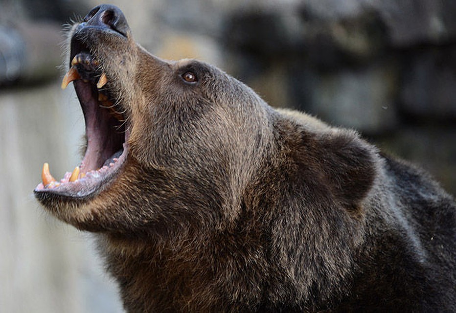 Фото: SmartNews.ru
