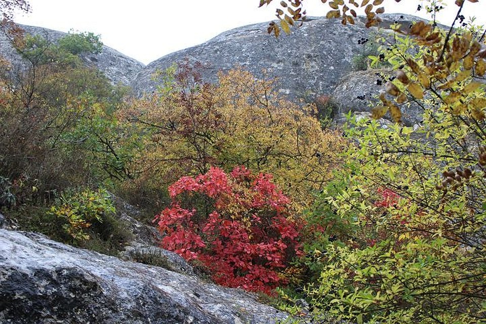 В Крыму осень хороша и красива.