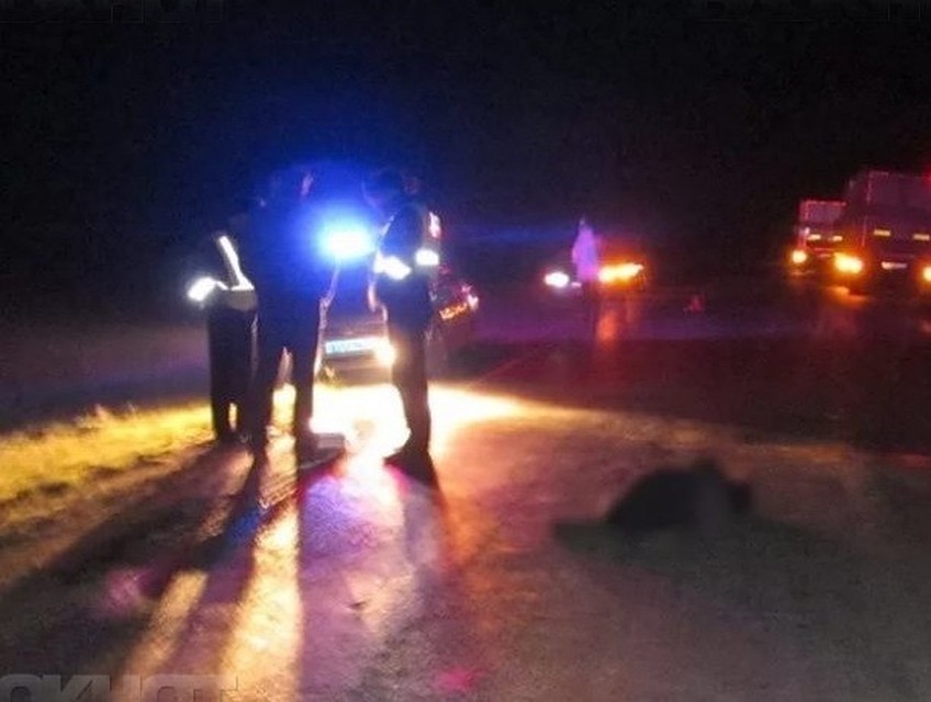 В Яловенском районе мужчина погиб этой ночью под колесами автомобиля