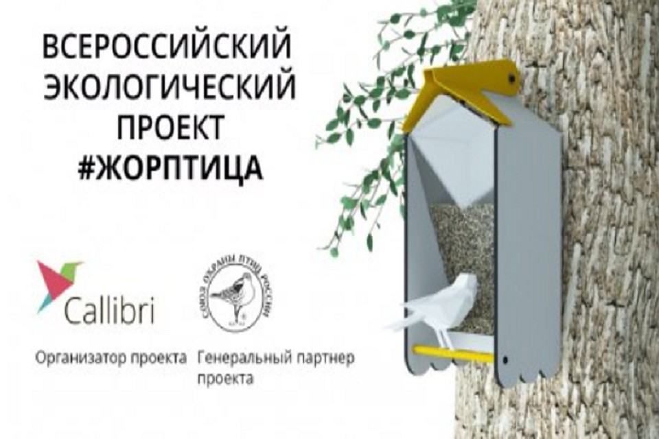 Любителям птиц в Тюмени предлагают выиграть уникальную хай-тек кормушку Жорптица