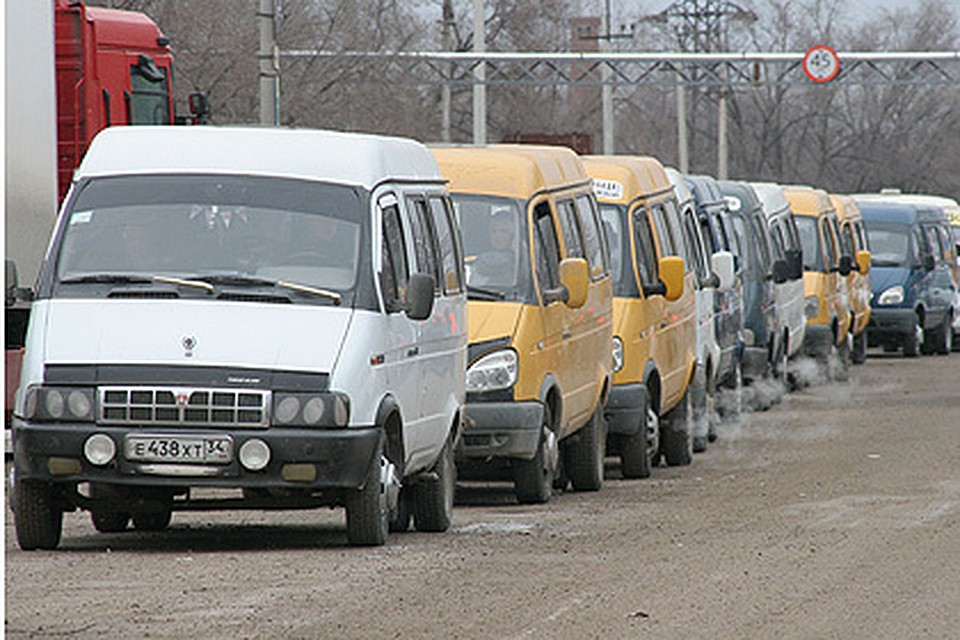Фото: Алена КУЗЬМИНА