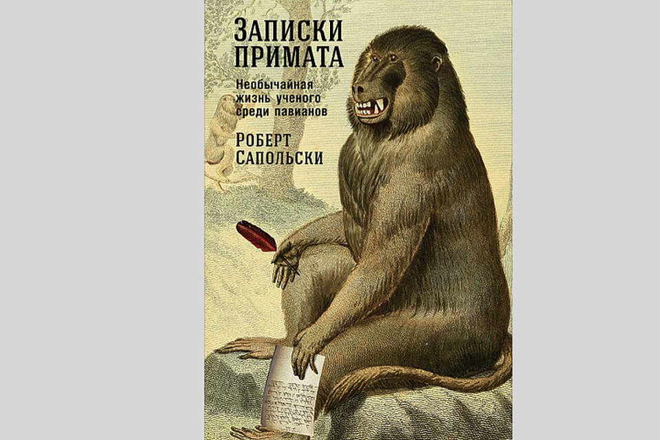 Результаты прочтения этой книги совершенно непредсказуемы.