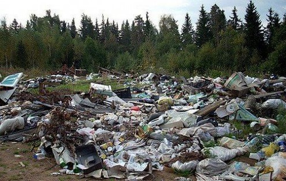 фото управления Россельхознадзора по Воронежской области