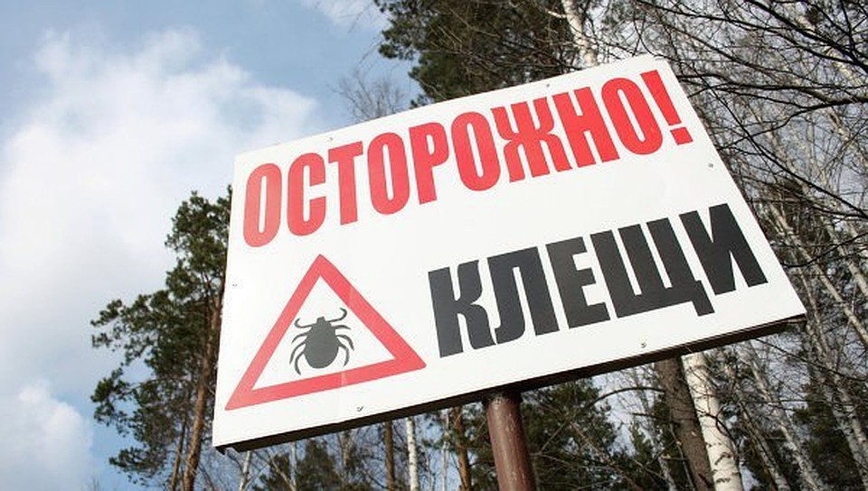 Фото: Архив «КП» в Ижевске