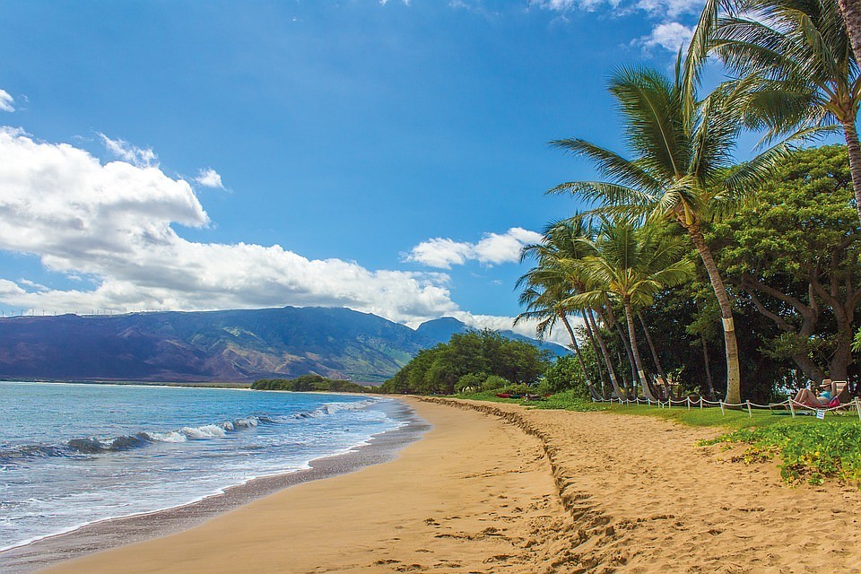 Фото: pixabay.com