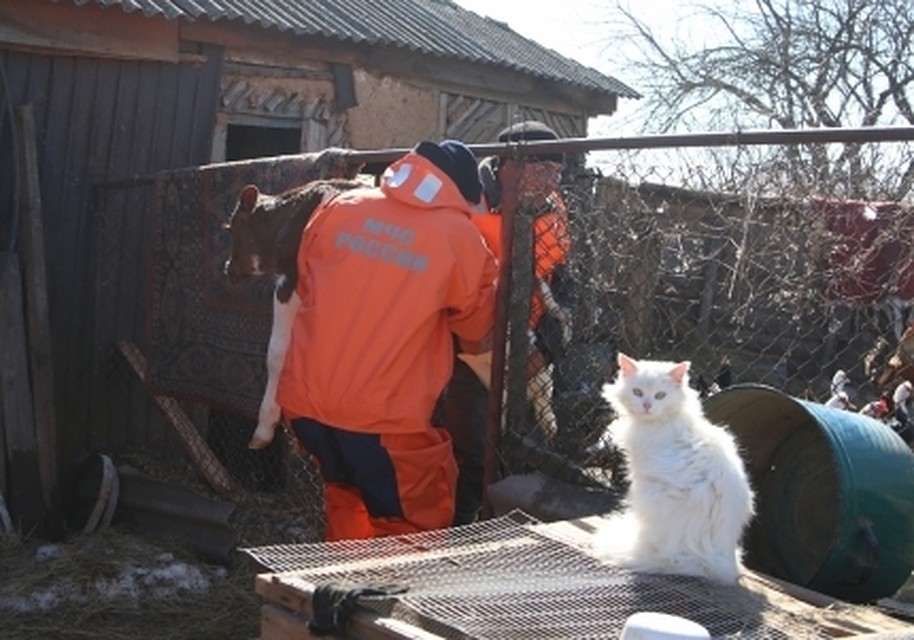 В ближайшие два-три дня в Волгоградской области ждут вторую волну паводка