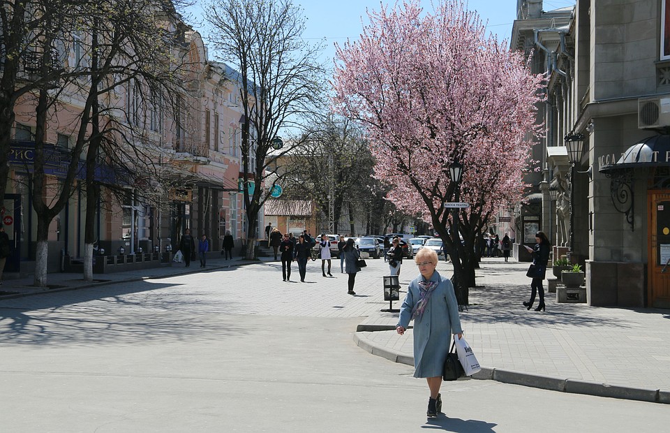 В Крыму все цветет и пахнет.