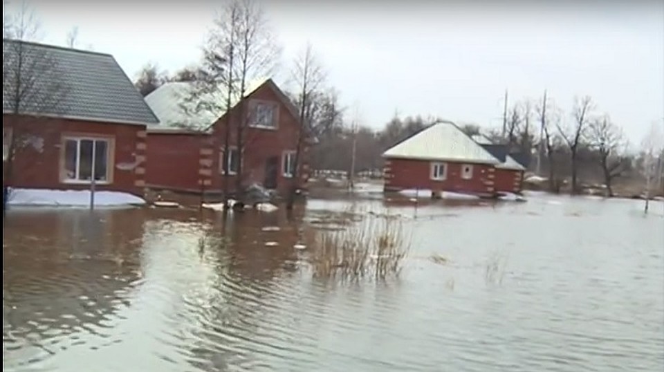 Фото: скриншот видео