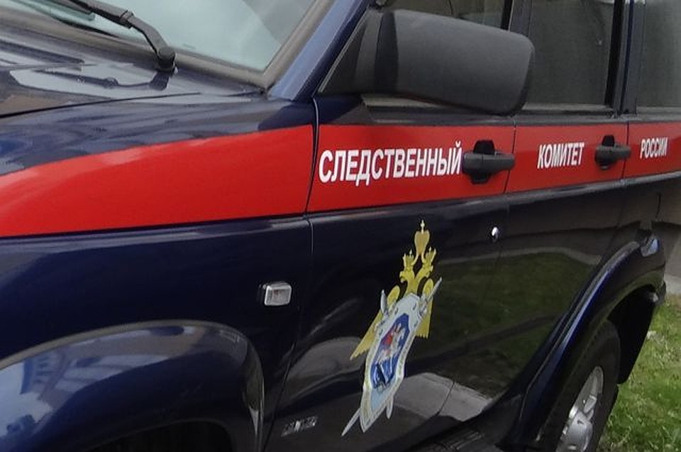 Делом о нападении собак в Салехарде теперь займется СКР