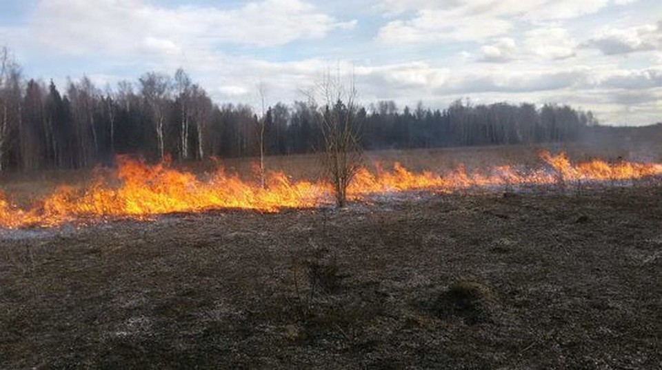 ФОТО: ГУ МЧС по Смоленской области.