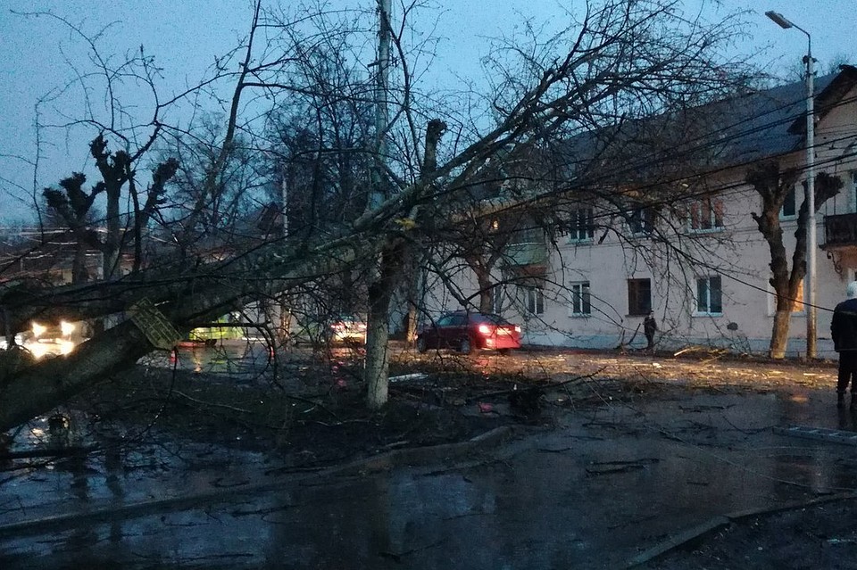 Фото: соцсети.