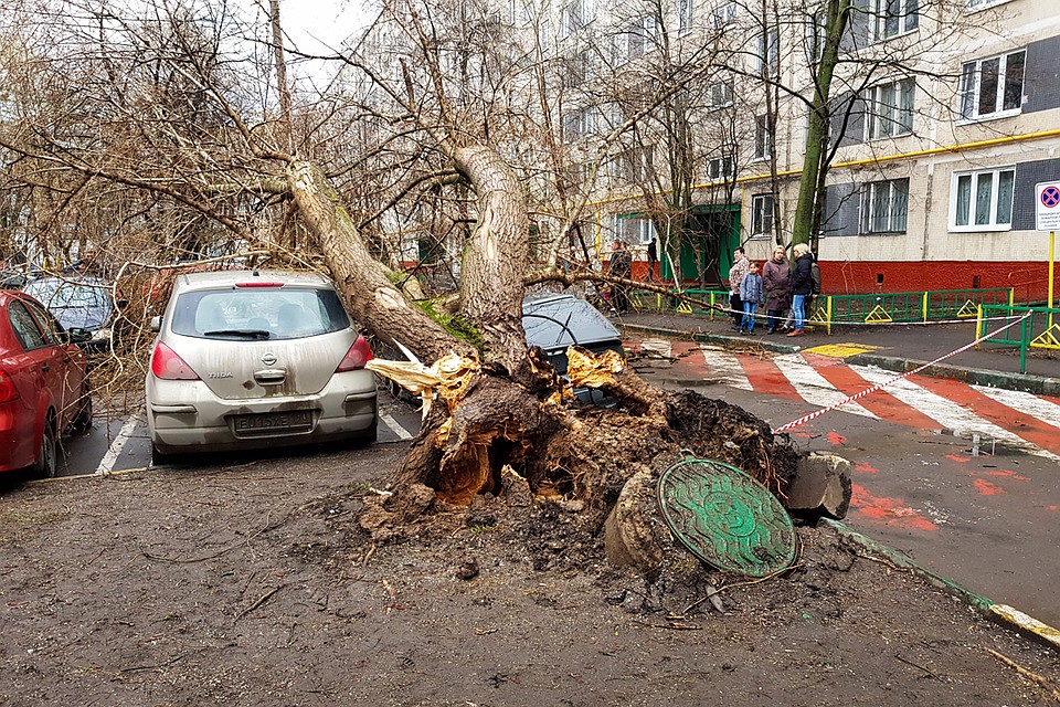 Наиболее разрушительные последствия ураган принес в столицу.