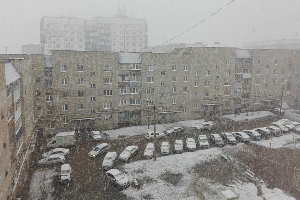 Фото: соцсети