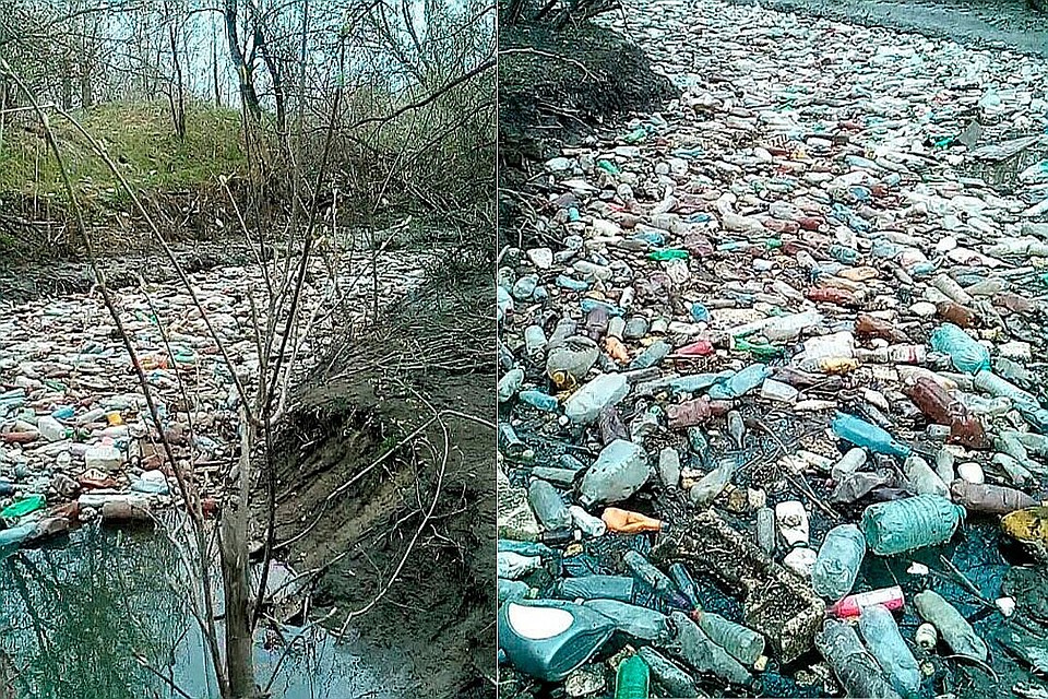 Фото: Александра Малолеткова.