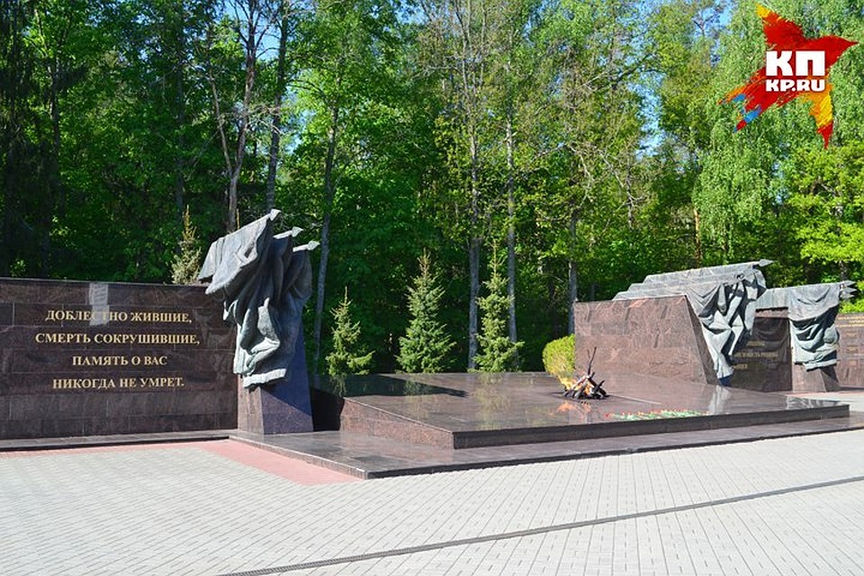 Быстрее всего к 9 Мая подготовились в Брянске, Дубровском, Рогнединском, Почепском и Стародубском районах.