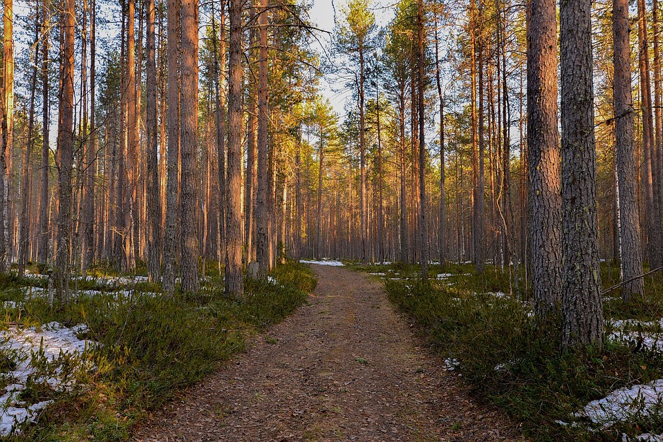 Фото: Валентина Новикова
