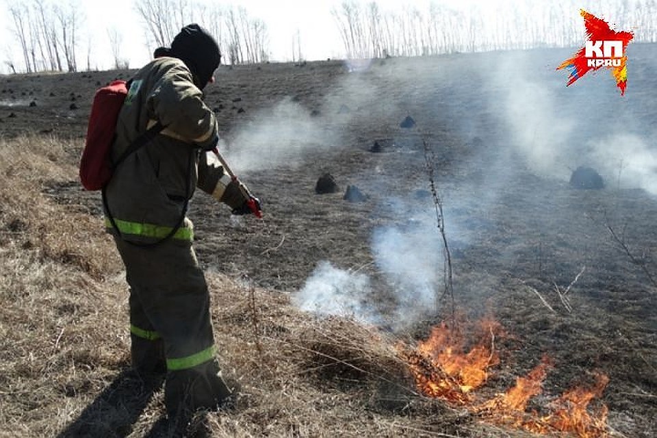 В Самарской области третьего мая тушили 161 пожар