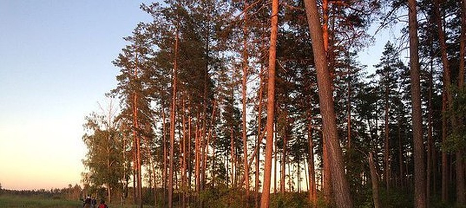 Ему грозит до 3 лет лишения свободы.