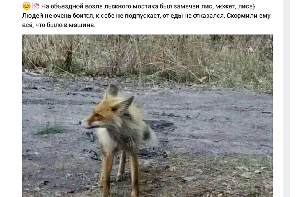Скриншот с паблика "Барнаул 22"