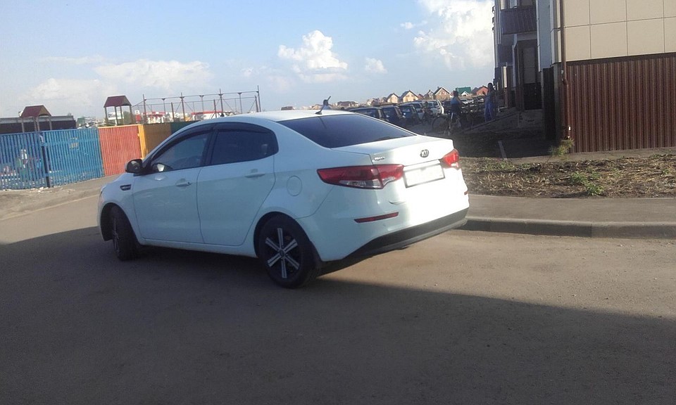 Фото: пресс-служба УГИБДД по Тамбовской области