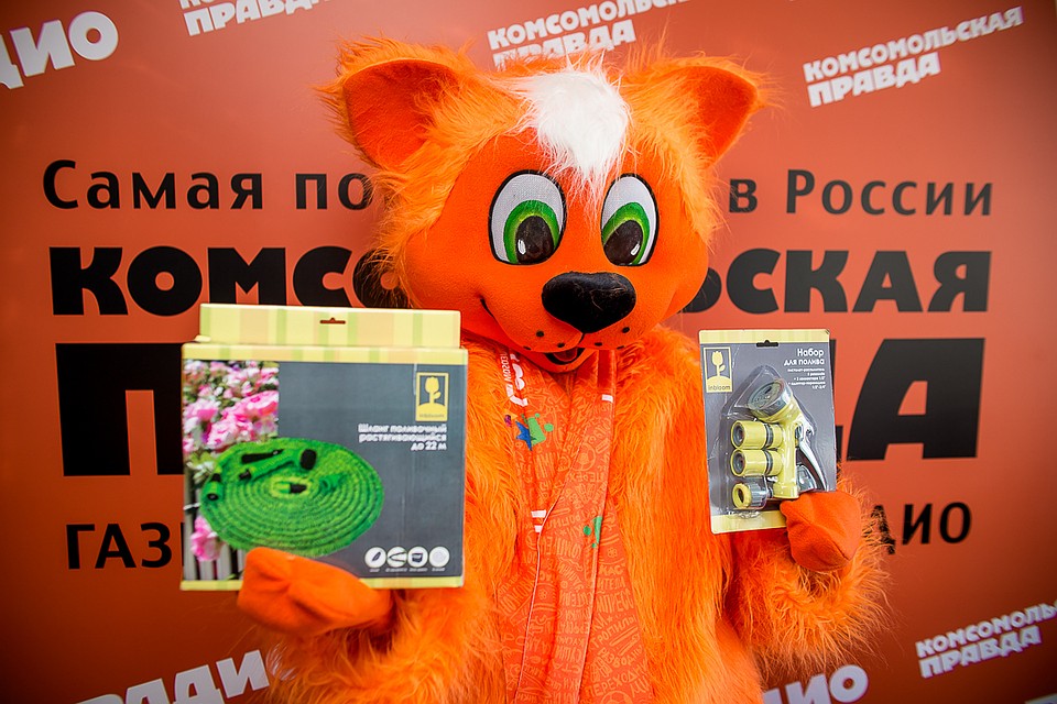 Фото: Валерий ЗВОНАРЕВ.