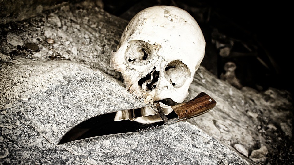 фото - pixabay.com