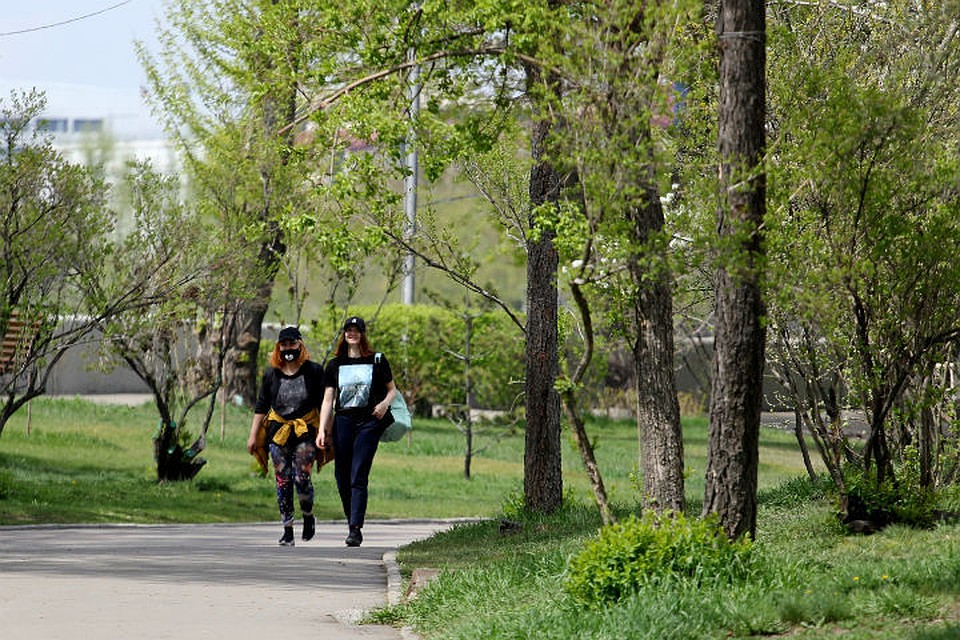 Укусы клещей в Иркутске: 50 кровососов напали на жителей в черте города