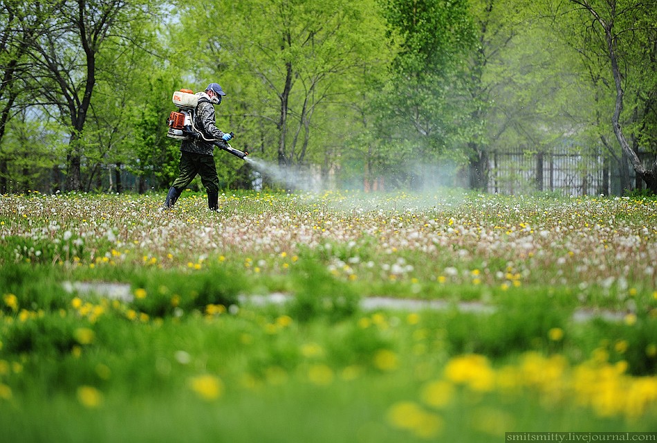 Фото: sanitarylesa.ru