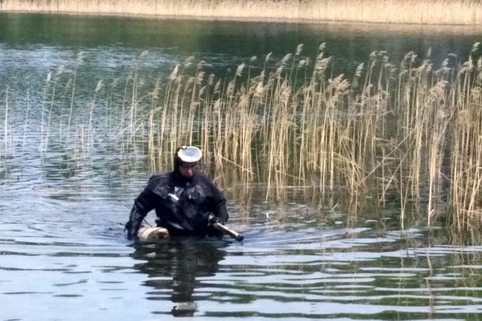 На дне водоемов находят кирпичи и одноразовую посуду. Фото: пресс-служба администрации Нижнего Новгорода