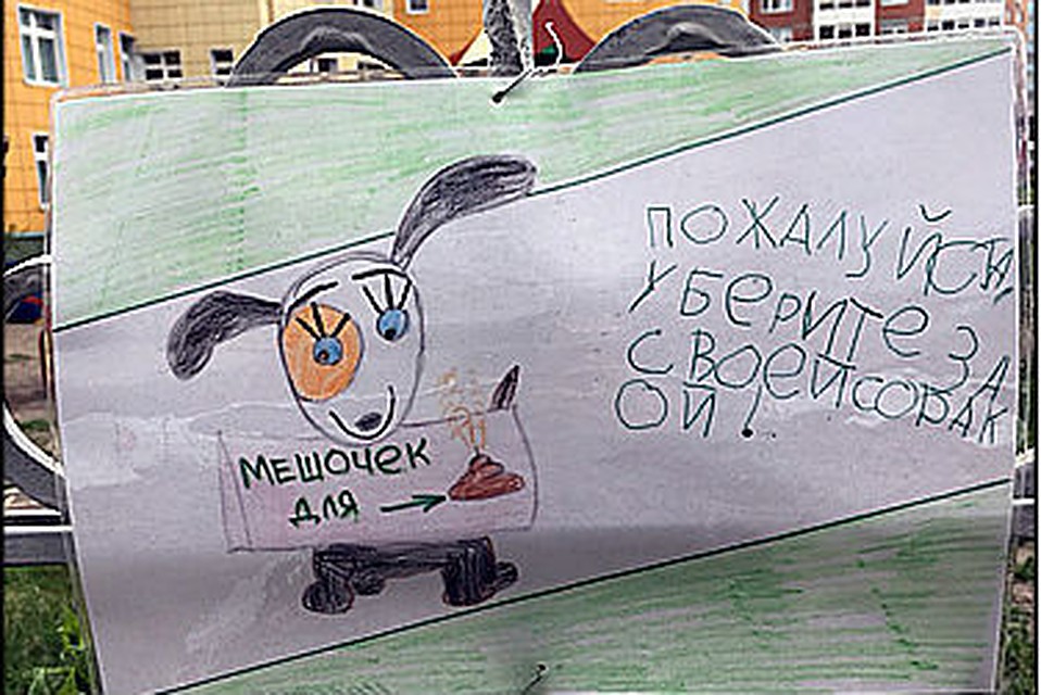 По периметру ограждения территории детского сада №72 на Авиаторов в краевом центре расположен газон. И сюда жители всех окрестных домов водят выгуливать своих собак. Фото: пресс-служба администрации Красноярска