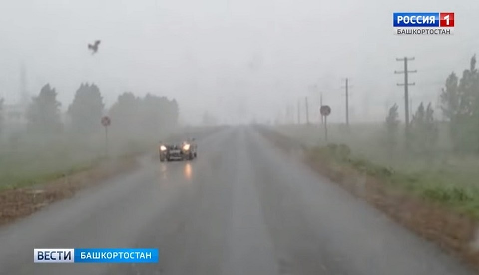 Фото: стопкадр сюжета ГТРК «Башкортостан»