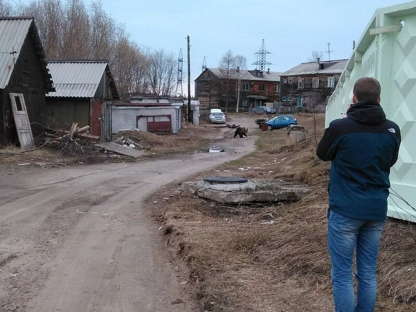 Фото «Вконтакте»
