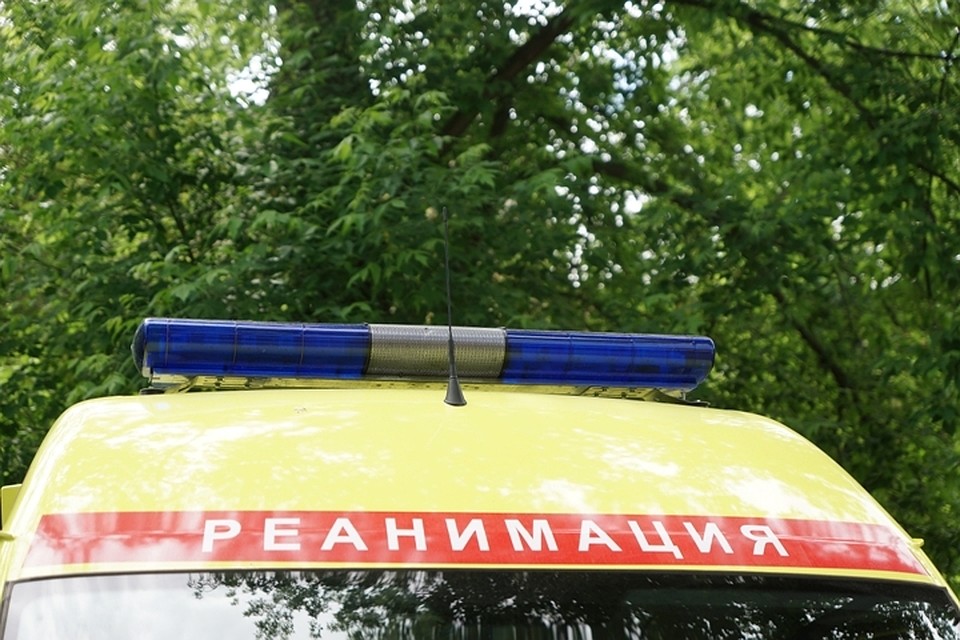 В Екатеринбурге 15-летняя девочка выпала из окна 8 этажа и выжила