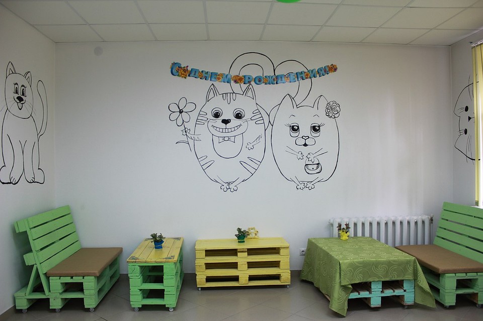 Приют "МУРКА И ВАСЬКА" имени И.В. Карповой