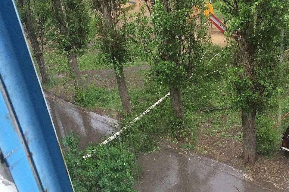Деревья падали на дорогу