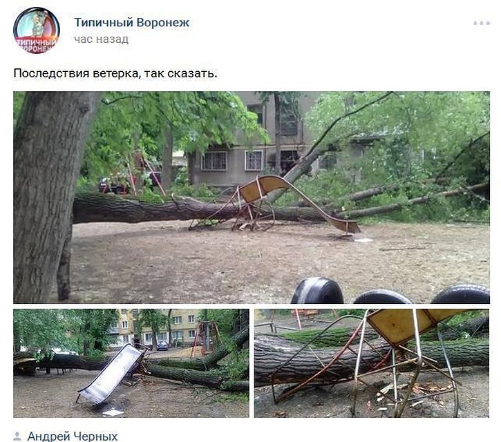 Скриншот поста в "Типичном Воронеже"
