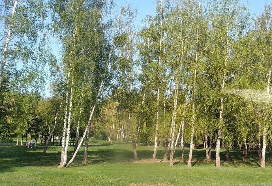 Количество пострадавших от клещей с каждым днем увеличивается