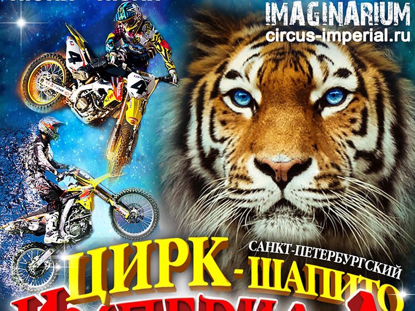 В Смоленске пройдет цирковое шоу с тиграми и мотокаскадерами Фото: соцсети