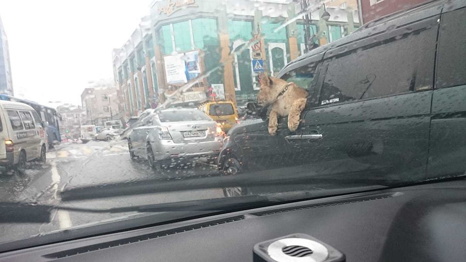 Фото: страница Марины Поповой в социальной сети Facebook