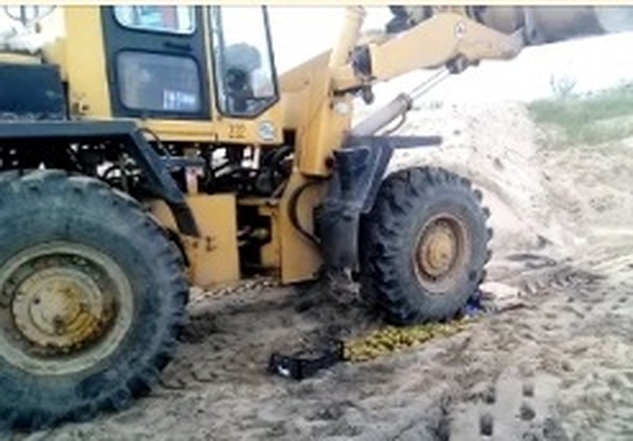 В Салехарде украинские яблоки раздавили тракторами на полигоне ТБО ursn72.ru