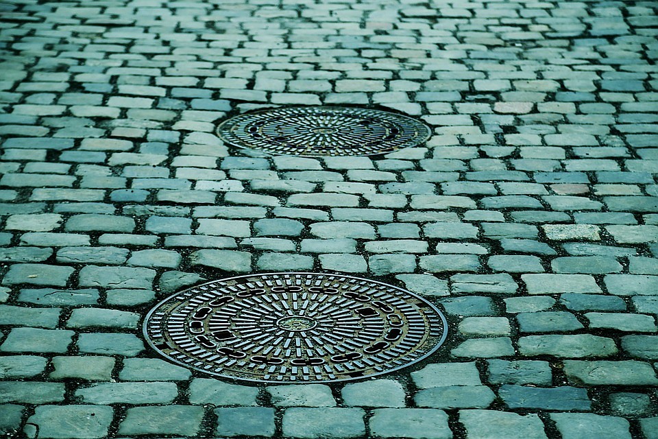 Фото: Pixabay