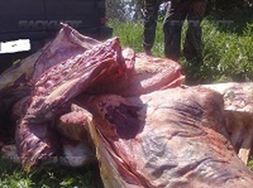 Фото: Управление Россельхознадзора по Самарской области