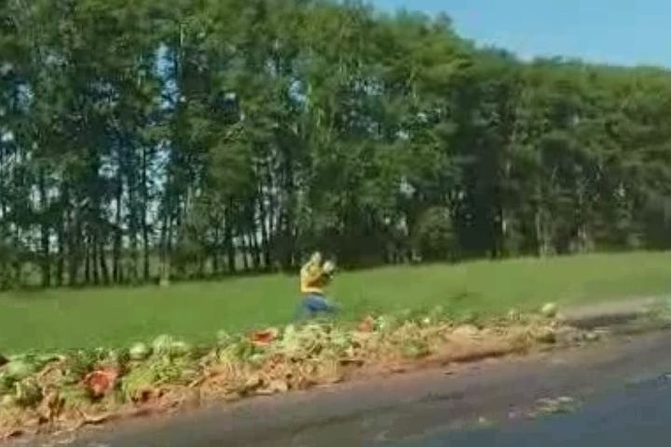 Люди выходят из машин, чтобы взять по несколько арбузов.