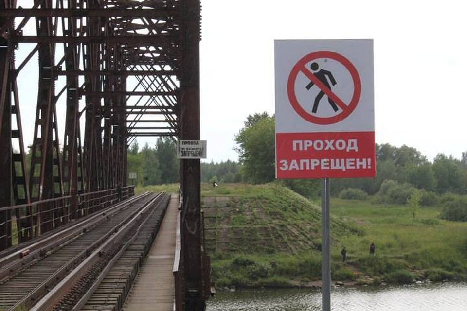 Фото: страница Уполномоченного по правам ребенка в Ярославской области в Facebook