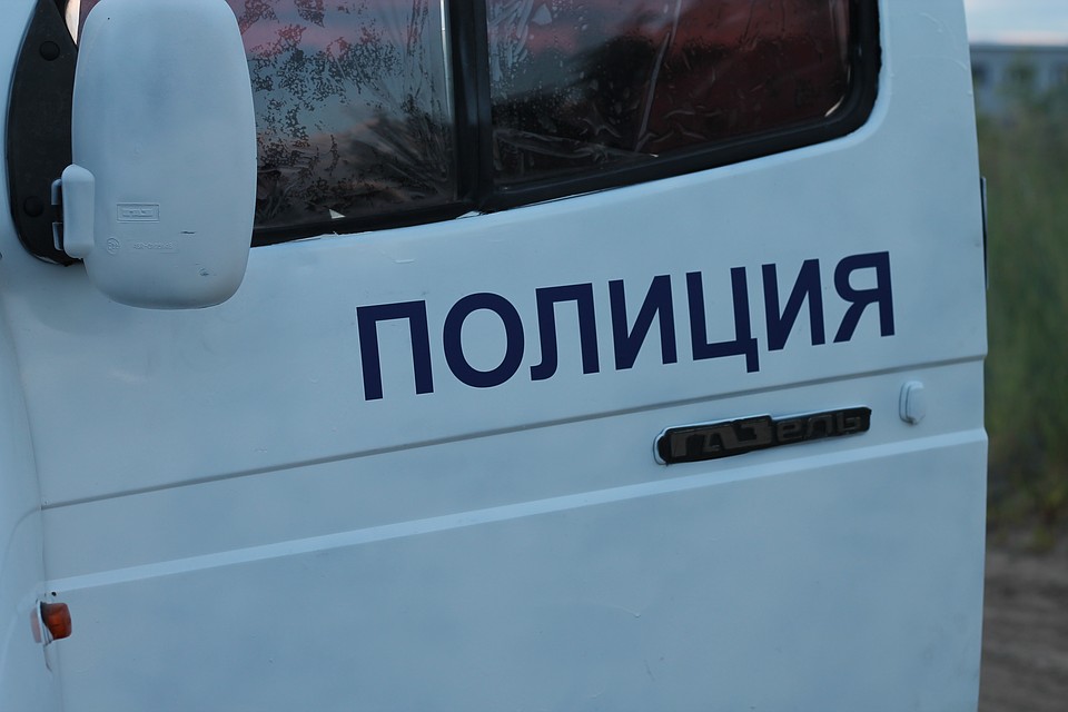 Труп на обочине: рецидивист с друзьями забил до смерти новосибирца