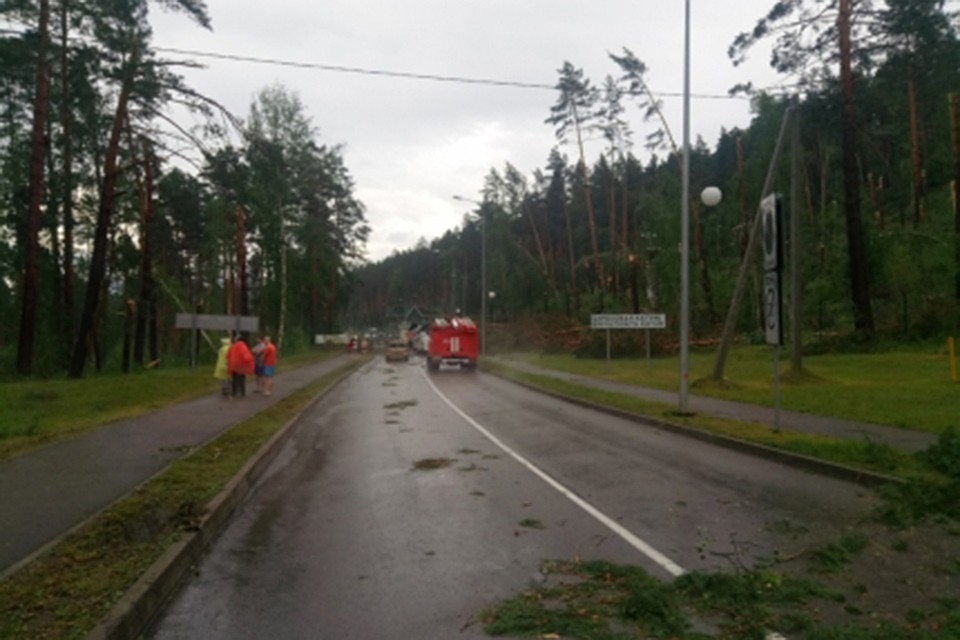 Ураган в Горном Алтае