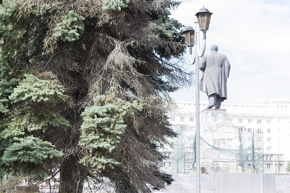 Лысые ветви не украшают центр города. Фото: «Гражданский патруль».